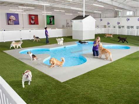 Based on 232 reviews, customers love the friendly staff, the clean facility and the personalized care. . Doggie hotels near me